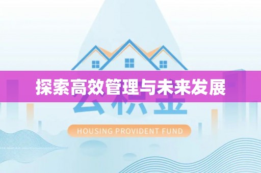 江陵探索高效管理与未来发展