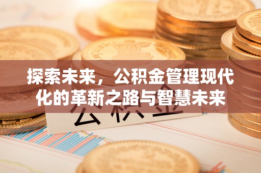 江陵探索未来，公积金管理现代化的革新之路与智慧未来