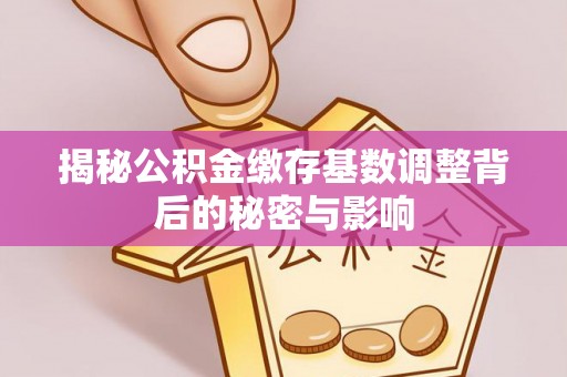 江陵揭秘公积金缴存基数调整背后的秘密与影响