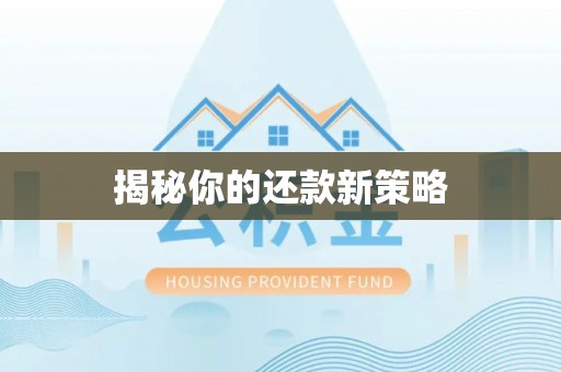 江陵揭秘你的还款新策略