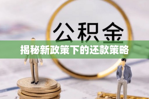 江陵揭秘新政策下的还款策略
