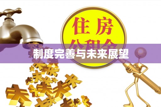 江陵制度完善与未来展望