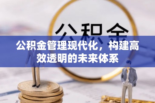 江陵公积金管理现代化，构建高效透明的未来体系