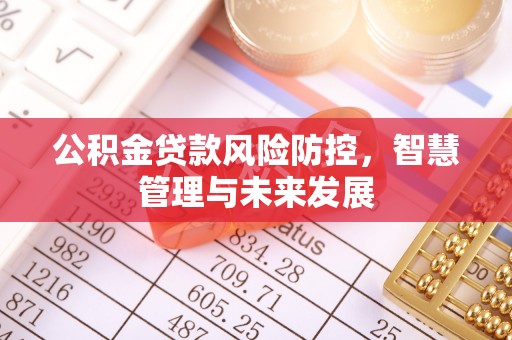 江陵公积金贷款风险防控，智慧管理与未来发展