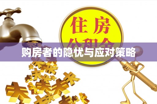江陵购房者的隐忧与应对策略