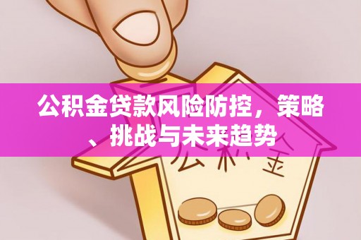 江陵公积金贷款风险防控，策略、挑战与未来趋势