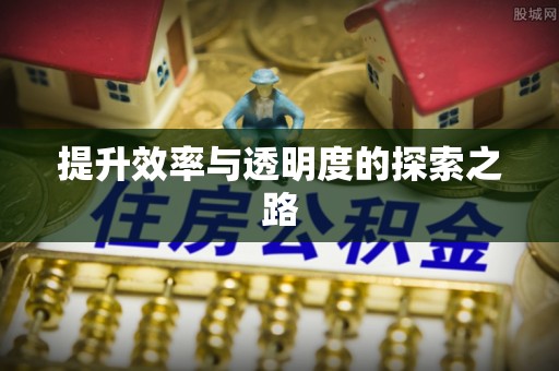 江陵提升效率与透明度的探索之路