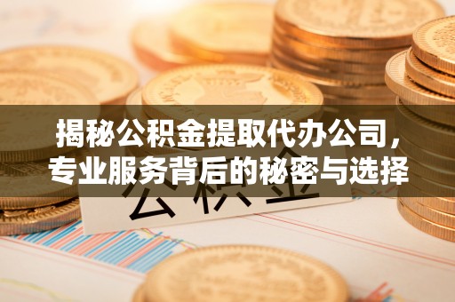 江陵揭秘公积金提取代办公司，专业服务背后的秘密与选择指南