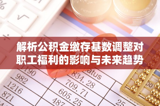 江陵解析公积金缴存基数调整对职工福利的影响与未来趋势