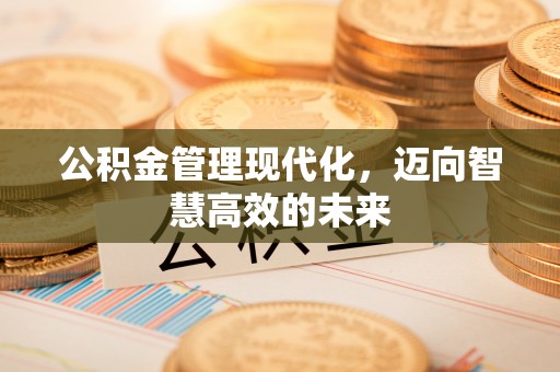 江陵公积金管理现代化，迈向智慧高效的未来