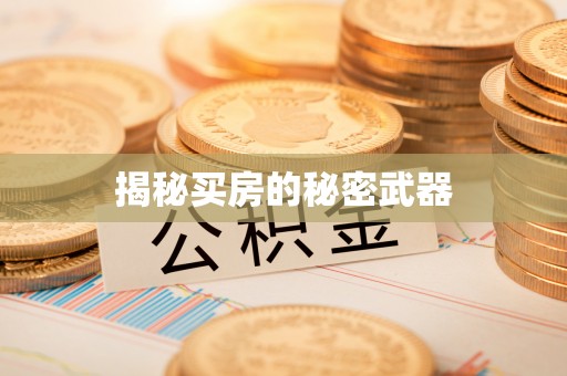 江陵揭秘买房的秘密武器