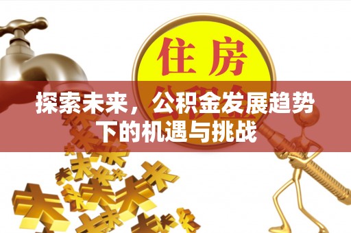 江陵探索未来，公积金发展趋势下的机遇与挑战