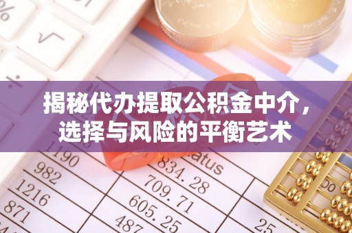 江陵揭秘代办提取公积金中介，选择与风险的平衡艺术