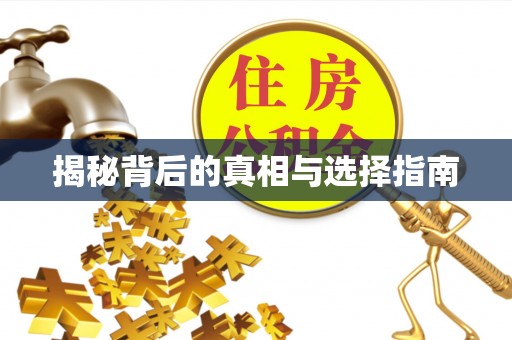 江陵揭秘背后的真相与选择指南