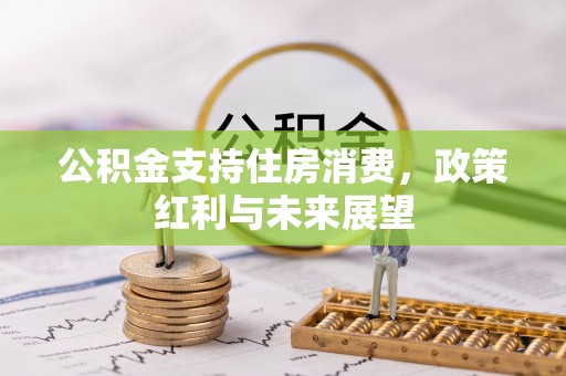 江陵公积金支持住房消费，政策红利与未来展望