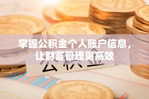 江陵掌握公积金个人账户信息，让财富管理更高效