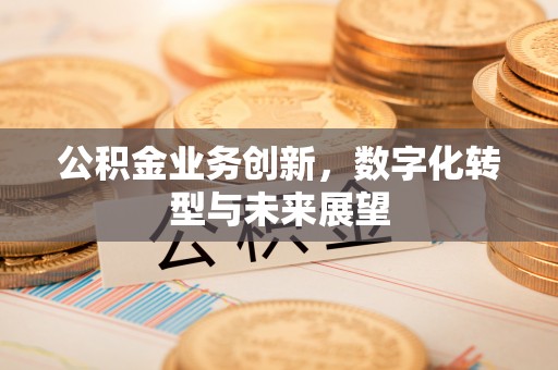 江陵公积金业务创新，数字化转型与未来展望