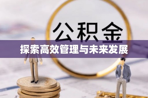 江陵探索高效管理与未来发展