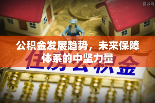 江陵公积金发展趋势，未来保障体系的中坚力量