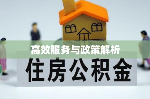 江陵高效服务与政策解析