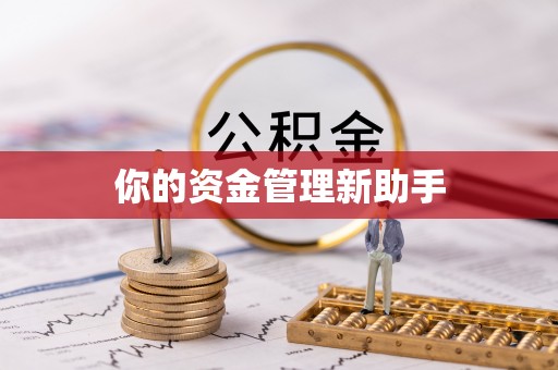 江陵你的资金管理新助手