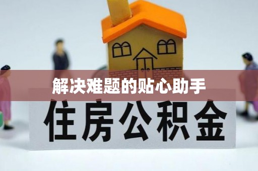江陵解决难题的贴心助手