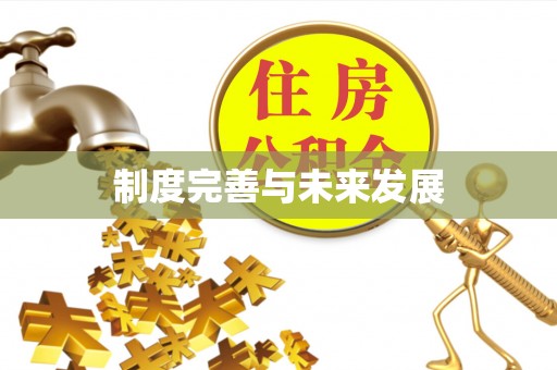 江陵制度完善与未来发展
