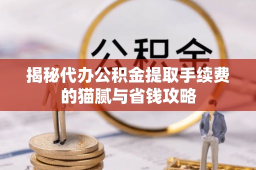 江陵揭秘代办公积金提取手续费的猫腻与省钱攻略