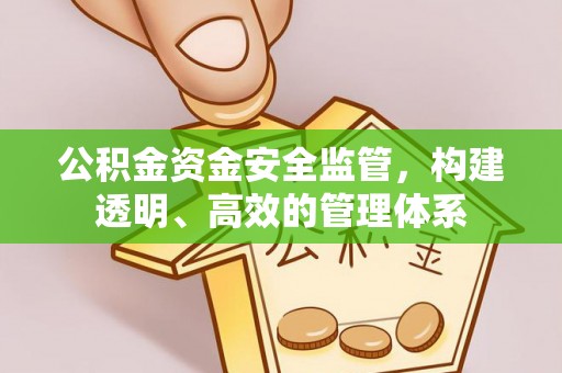 江陵公积金资金安全监管，构建透明、高效的管理体系