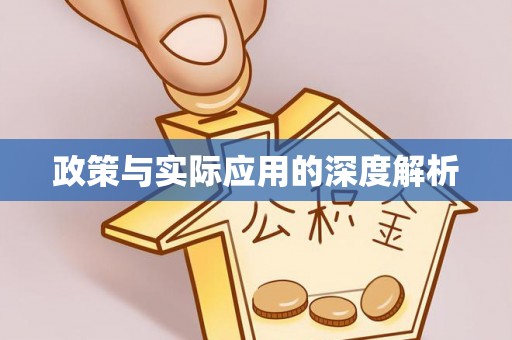 江陵政策与实际应用的深度解析