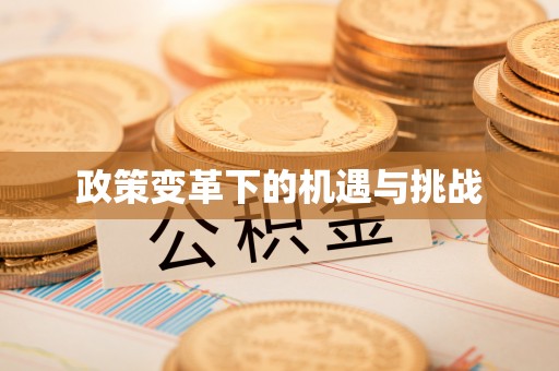 江陵政策变革下的机遇与挑战