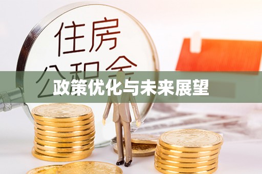 江陵政策优化与未来展望