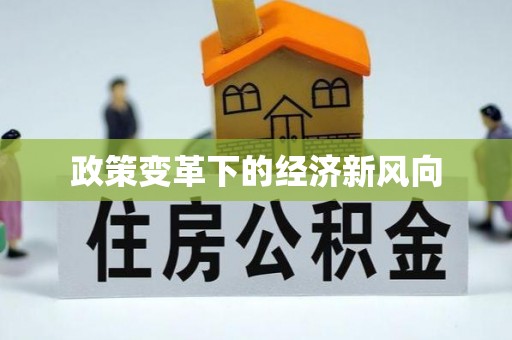 江陵政策变革下的经济新风向