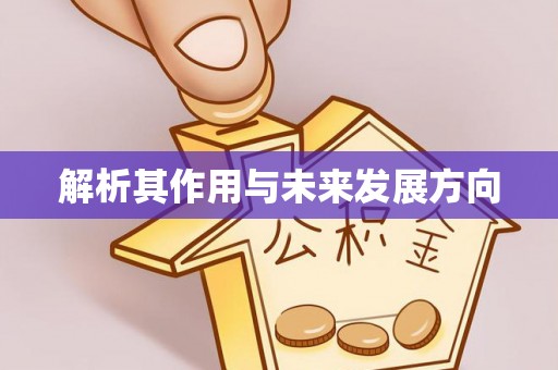 江陵解析其作用与未来发展方向
